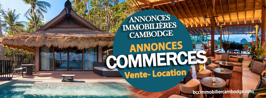 Agence immobilière en français au Cambodge - Logements - Commerces